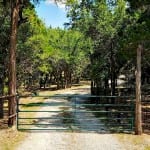 Texas Hill Country Gate